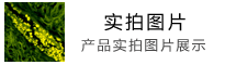 �(q��)��(d��ng)���փ�(c��)����퓵��Y�����d